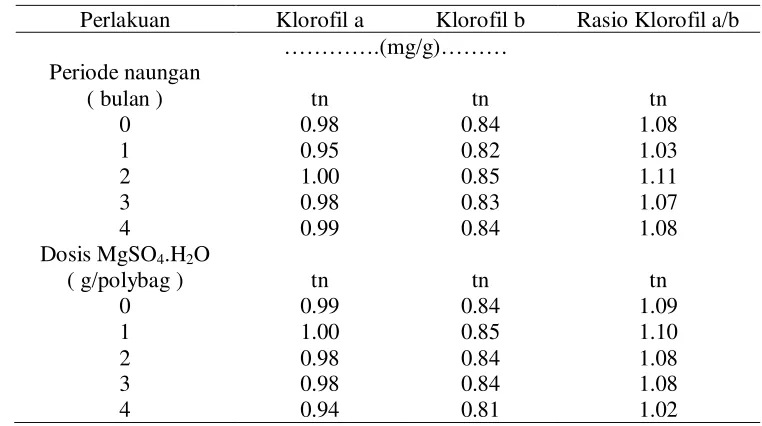 Tabel 17 Pengaruh periode naungan  dan pemupukan terhadap kandungan klorofil a, klorofil b, rasio  klorofil a/b tanaman daun dewa umur 16 MST 