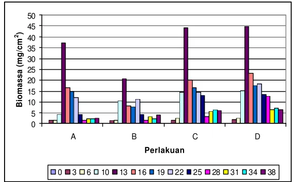 Gambar 6 Biomassa (Biovolume) mikroalga (µg/cm 2) yang menempel pada substrat tanpa pemeliharaan ikan nila