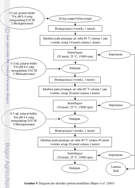 Gambar 9. Diagram alir ekstraksi protein modifikasi Mujoo et al. (2003) 