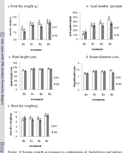 Figure  8 Tomato growth as response to combination of  biofertilizer and nutrient source