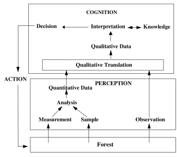 Figure 2.6.  Qualitative and quantitative reasoning (Guerinn 1991) 
