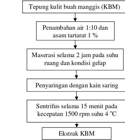 Gambar 6. Proses Ekstraksi Kulit Buah Manggis (Wijaya, 2010) 