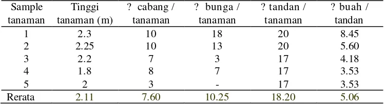 Tabel  5  Hasil pengamatan karakteristik tanaman jarak 