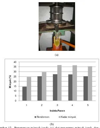 Gambar 12.  Pengpresan minyak jarak; (a) alat pengepres minyak jarak, dan (b) rendemen hasil pengepresan 