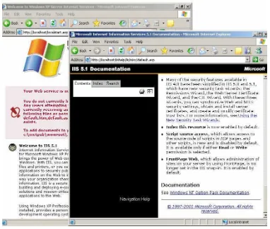 Gambar 2.3. Add Windows Component – IIS 