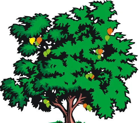 Gambar 2.9  Pohon mangga yang sedang berbuah