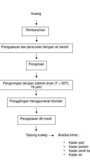 Gambar 3. Diagram alir proses pembuatan tepung suweg (Faridah, 2005) 