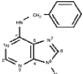Gambar 1. Struktur kimia 6-Benzil  amino purine (BAP) 