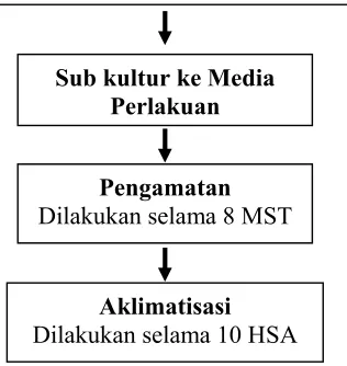 Gambar 4. Diagram alur pelaksanaan penelitian  
