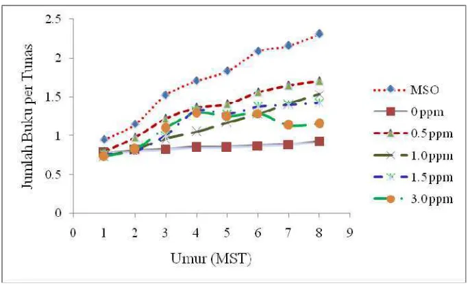 Gambar 15. Pengaruh media dasar terhadap jumlah buku total per tunas pada kultur in vitro ubi kayu (Mannihot esculenta) 