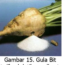 Gambar 15. Gula Bit Sumber: http/food.detik.com/beet-sugar.html 