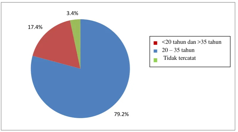Gambar 5.1 Diagram Pie Proporsi Ibu yang Melahirkan Bayi BBLR Berdasarkan Umur di RS Santa Elisabeth Medan Tahun 2009-2013 