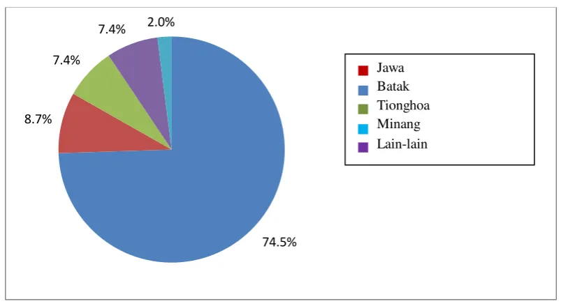 Gambar 5.2 Diagram Pie Proporsi Ibu yang Melahirkan Bayi BBLR Berdasarkan Suku di RS Santa Elisabeth Medan Tahun 2009-2013 