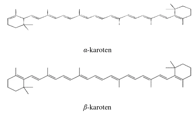 Gambar 1. Struktur α-karoten dan β-karoten (Fennema 1996) 