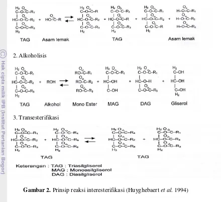 Gambar 2. Prinsip reaksi interesterifikasi (Huyghebaert et al. 1994) 