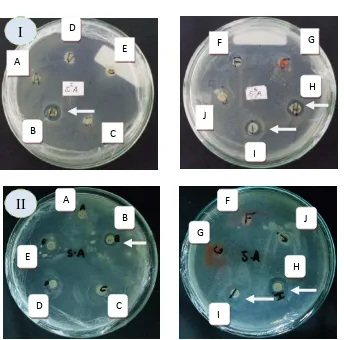 Gambar 1. Diameter zona hambat isolat Actinomycetes strain A-J, umur 2  minggu (I) dan 3 minggu (II) terhadap bakteri Staphylococcus aureus multiresisten 