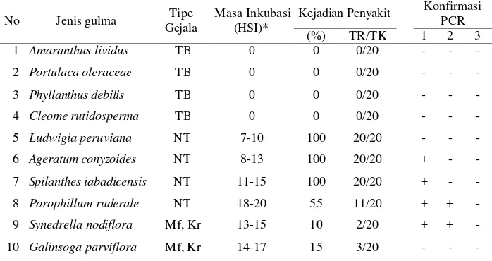 Tabel 4  Masa inkubasi, kejadian penyakit, tipe gejala geminivirus pada beberapa jenis gulma uji di rumah kaca 