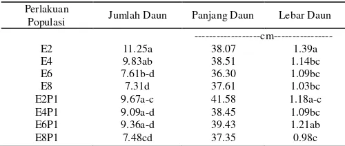 Tabel 13. Pengaruh Populasi Gulma E.crus-galli terhadap Rata-                 rata Jumlah, Panjang, dan Lebar Daun E