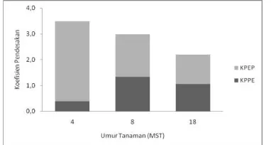 Gambar 2. Kurva Total Hasil Relatif. (a) THR pada 4 MST,                    (b) THR pada 8 MST, (c) THR pada 18 MST 