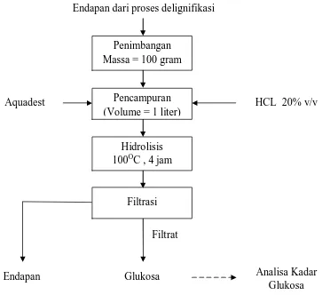 Gambar 9. Diagram Alir Proses Hidrolisis 