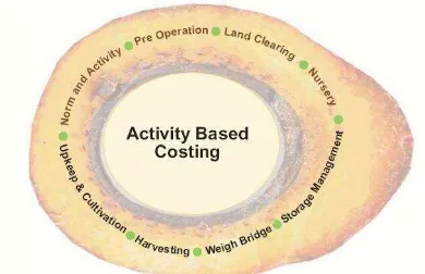 Figure 2. Activity Based Costing for Palm Oil Applications (IFS  treeS presentation, 2010) 