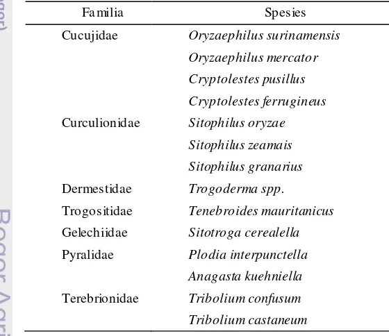 Tabel 2. Serangga utama pada penyimpanan 