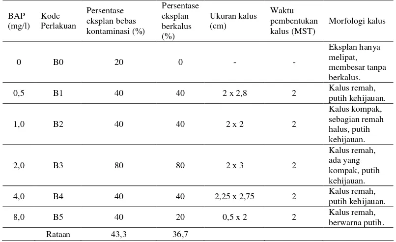 Tabel 2 Pengaruh BAP terhadap induksi kalus pada eksplan daun muda