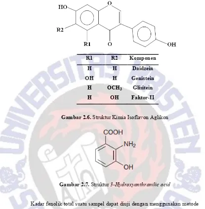 Gambar 2.6. Struktur Kimia Isoflavon Aglikon