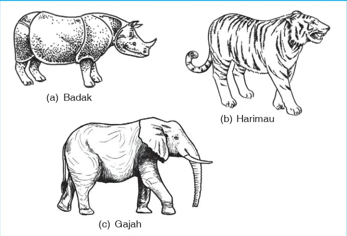 Gambar 3.5 Beberapa hewan langka.