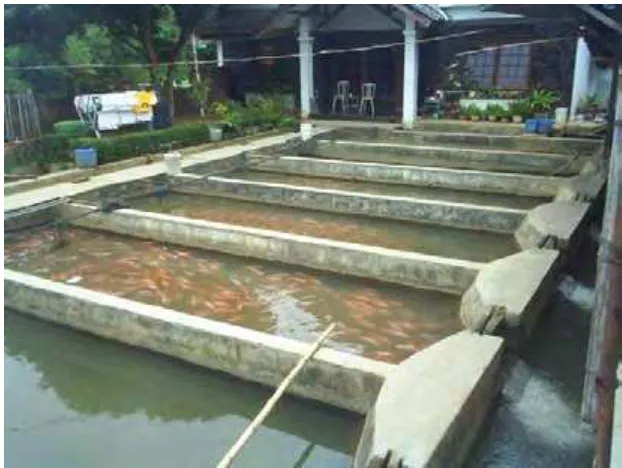 Gambar  14. Kolam air deras 