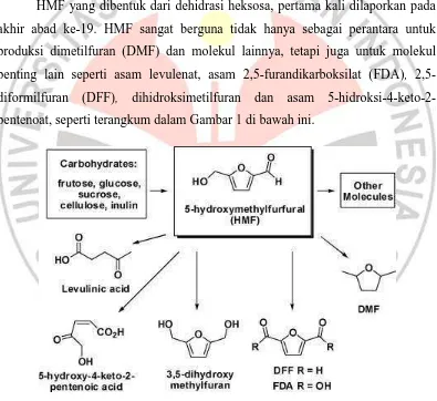 Gambar 1. Berbagai Senyawa Kimia Lain dari HMF (Rosatella, A. et al, 2011). 