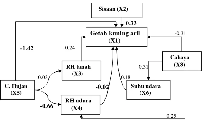 Gambar 12  Diagram lintas getah kuning pada aril manggis dengan peubah-peubahnya di Kampung Jamblang, Leuwiliang (nilai koefisien lintas yang dicetak tebal berpengaruh nyata)