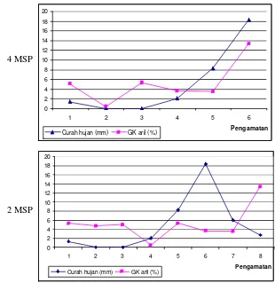 Gambar 14  Grafik pola hubungan curah hujan 4 MSP dan 2 MSP dengan          kejadian getah kuning pada aril manggis selama pengamatan 