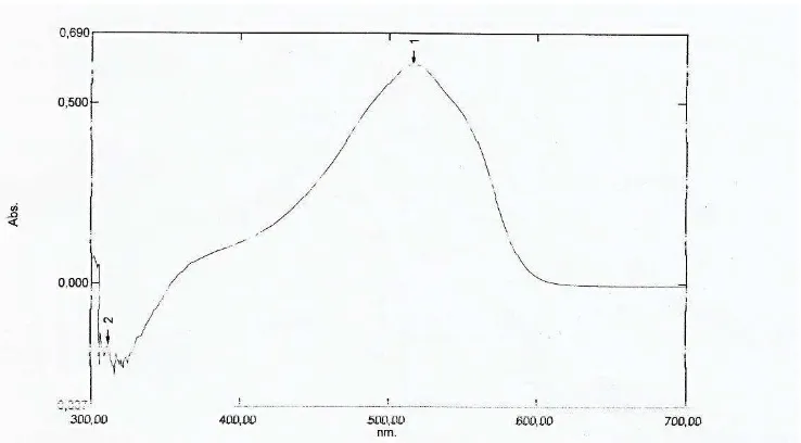 Gambar 5. Spektrum Absorbsi Larutan Formalin 20 ppm dengan Pereaksi Schryver 