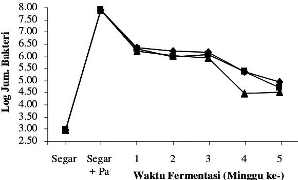 Gambar 4. Log bakteri asam laktat dengan penambahan P. acidilactici F-11 selamafermentasi (  : garam 20%;  : garam 25%; dan  : garam 30%)