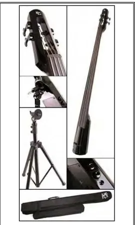 Gambar 2. Elektrik up-right (fretless) 