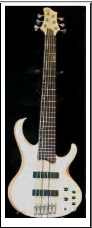 Gambar 6. Elektrik fretted 6 string 