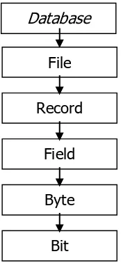Gambar 1. Hierarki Database 