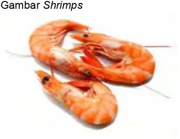 Gambar Shrimps 