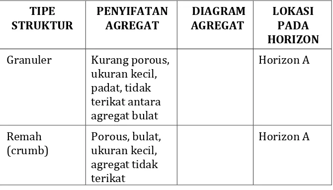 Tabel 3.  Struktur, penyifatan , diagram dan  lokasinya pada profil tanah 