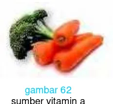 gambar 63sumber vitamin b