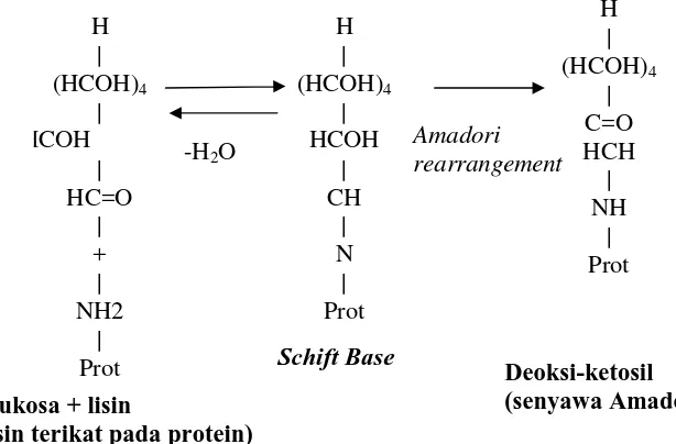 Gambar 1. Reaksi antara gugus aldehid glukosa dengan gugus amino lisin yang terikat pada protein (reaksi Maillard awal) (Palupi dan Prangdimurti 2007)  