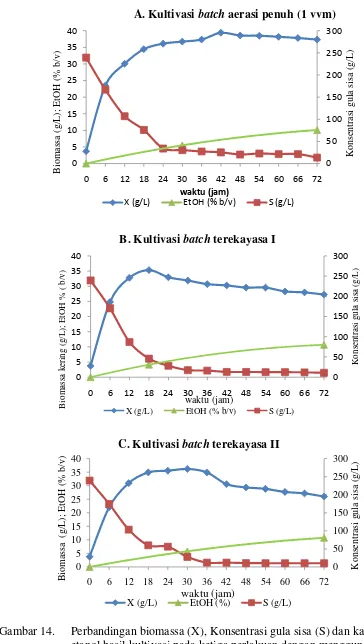 Gambar 14. Perbandingan biomassa (X), Konsentrasi gula sisa (S) dan kadar 