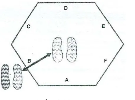 Gambar 2. Hexagon 