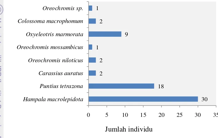 Gambar 3. Komposisi jenis ikan (jenis dan jumlah individu) yang terkoleksi dari 