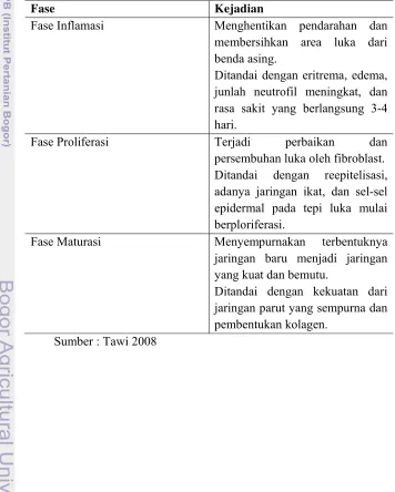 Tabel 3  Tahapan Persembuhan Luka 