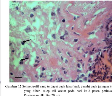 Gambar 12G