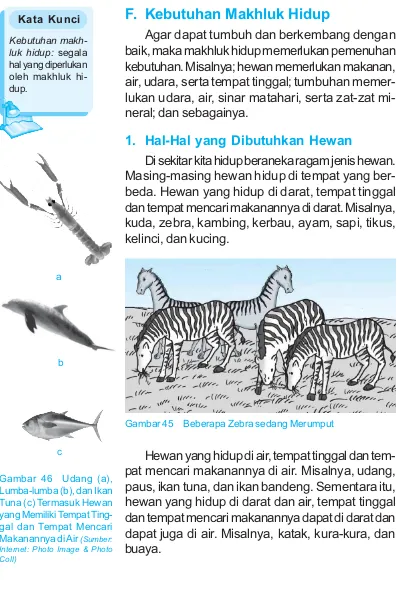 Gambar 46Udang (a),Lumba-lumba (b), dan IkanTuna (c) Termasuk Hewanyang Memiliki Tempat Ting-gal dan Tempat MencariMakanannya di Air (Sumber:Internet: Photo Image & PhotoColl)
