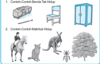 Gambar; Photo Coll)