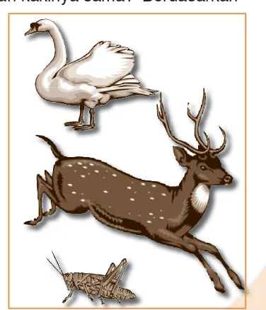 Gambar 2.7 Contoh hewan berkaki dua (ayam), berkaki empat (rusa) dan berkaki enam (jangkrik).